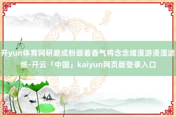 开yun体育网研磨成粉跟着香气将念念绪漫游浸湿滤纸-开云「中国」kaiyun网页版登录入口