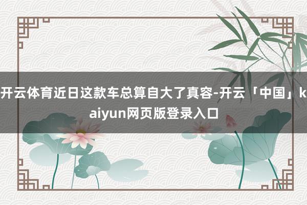 开云体育近日这款车总算自大了真容-开云「中国」kaiyun网页版登录入口