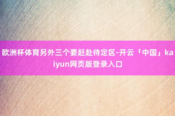 欧洲杯体育另外三个要赶赴待定区-开云「中国」kaiyun网页版登录入口
