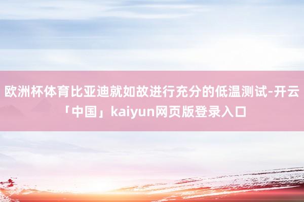 欧洲杯体育比亚迪就如故进行充分的低温测试-开云「中国」kaiyun网页版登录入口