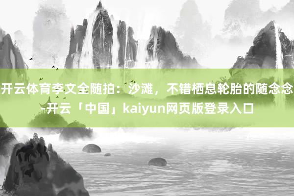 开云体育李文全随拍：沙滩，不错栖息轮胎的随念念-开云「中国」kaiyun网页版登录入口