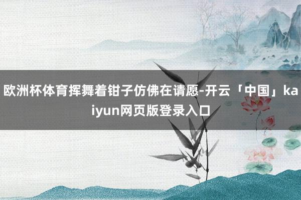 欧洲杯体育挥舞着钳子仿佛在请愿-开云「中国」kaiyun网页版登录入口